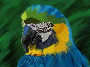 Parrot Digital Painting